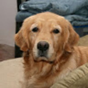 Meet your Posher, Marianna